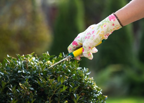 Beautiful Southfields garden with vibrant flowers and professional landscaping