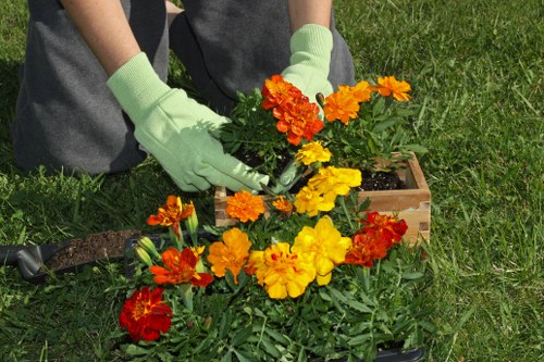 Seasonal lawn care in Southfields
