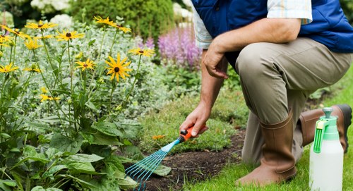 Well-maintained deck enhancing home aesthetics
