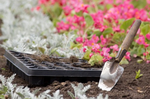 Eco-friendly lawn mowing practices