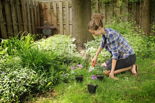 Sustainable tree care practices in Southfields